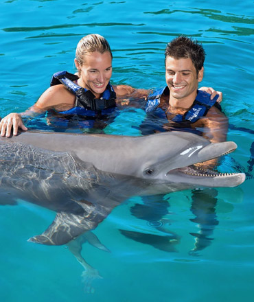 Плавать с дельфинами
